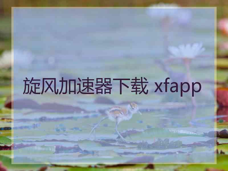 旋风加速器下载 xfapp