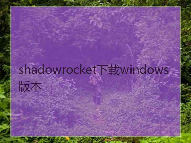 shadowrocket下载windows版本