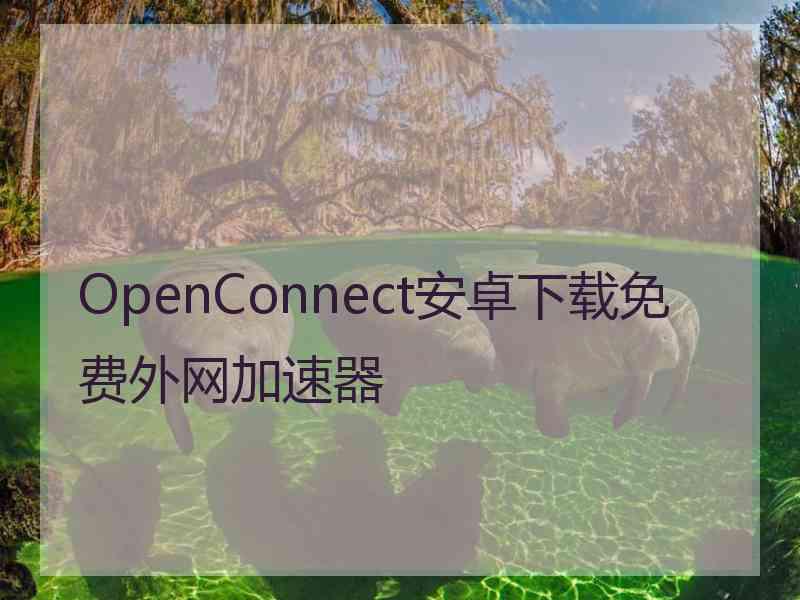 OpenConnect安卓下载免费外网加速器
